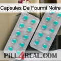 Black Ant Capsules 29